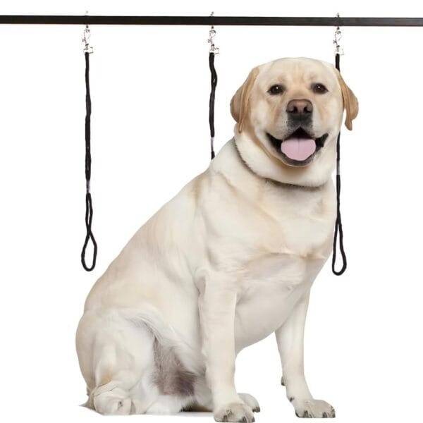 H-Shape Pet Grooming Arm with Clamp Dog Grooming Loop Noose, Heavy Duty Aluminum Alloy Frame with 35.4Adjustable Height and 35.4 ~ 47.2 Adjustable Width