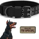 Tactical Dog Collar Military Adjustable Dog Collars Soft Nylon Training Collar with Patch Heavy Duty Metal Buckle Collars for Medium Large Dogs (Black, L)