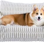 Cute Couch for Pets, Fluffy Pets Sofa with Soft Corduroy Fleece, Supportive Pet Sofa with Non-Slip Bottom, 30inch, Cream