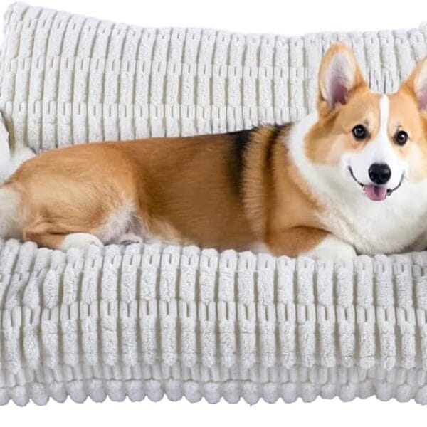 Cute Couch for Pets, Fluffy Pets Sofa with Soft Corduroy Fleece, Supportive Pet Sofa with Non-Slip Bottom, 30inch, Cream