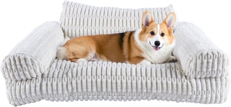 Cute Couch for Pets, Fluffy Pets Sofa with Soft Corduroy Fleece, Supportive Pet Sofa with Non-Slip Bottom, 30inch, Cream