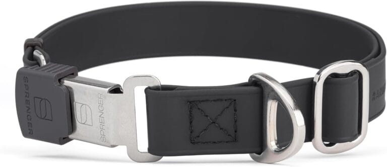 Biothane Waterproof Durable Dog Collar with Herm Sprenger - Quick Release ClicLock Buckle - Fits Medium and Large Dogs - Made in USA (Black, W 1" x L 15"-25")