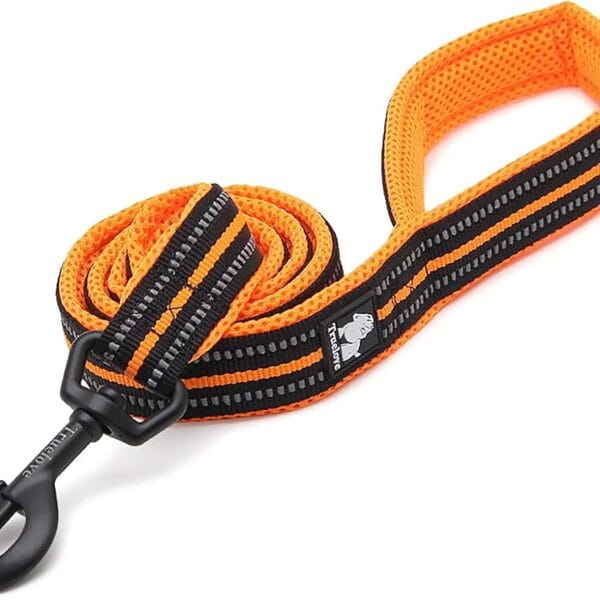 TRUE LOVE Reflective Dog Leash Puppy Walking Lead, Padded Pet Chain RopeLength 110cm Truelove TLL2111(Orange,M)
