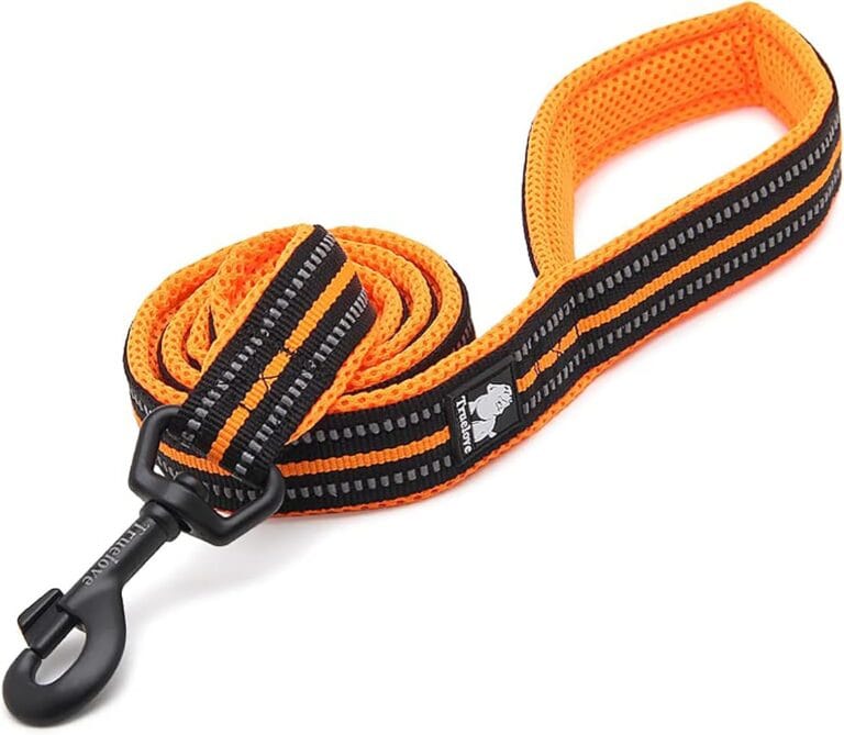 TRUE LOVE Reflective Dog Leash Puppy Walking Lead, Padded Pet Chain RopeLength 110cm Truelove TLL2111(Orange,M)