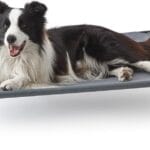 Love's cabin Elevated Cooling Dog Bed for Large Dogs, Portable Indoor & Outdoor Raised Pet Dog Cat Cot, Durable Summer Frame with Breathable Mesh, Grey, 48 inches