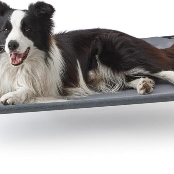 Love's cabin Elevated Cooling Dog Bed for Large Dogs, Portable Indoor & Outdoor Raised Pet Dog Cat Cot, Durable Summer Frame with Breathable Mesh, Grey, 48 inches