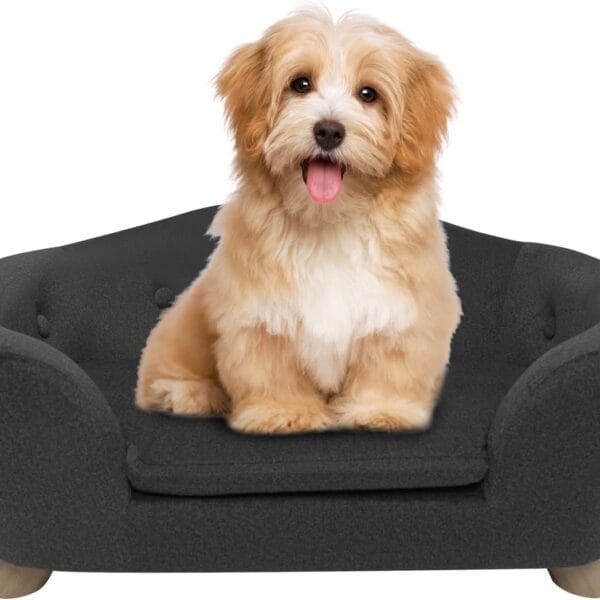 SHAVI Pet Sofa Dog Couch for Small Pet Dog and Cats, Low Back Lounging Bed with Velvet Modern Cat Couch Easy-to-Clean(Deep Grey)