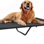 Veehoo Cooling Elevated Dog Bed, Portable Raised Pet Cot with Washable & Breathable Mesh, No-Slip Feet Durable Dog Cots Bed for Indoor & Outdoor Use, X Large, CWC1803-XL
