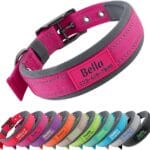 Personalized Dog Collar with Name and Phone Number | Durable Metal Buckle | Ultra Wide Soft Neoprene Padded | Adjustable Reflective Weatherproof Dog Collar for Large Medium and Small Dogs