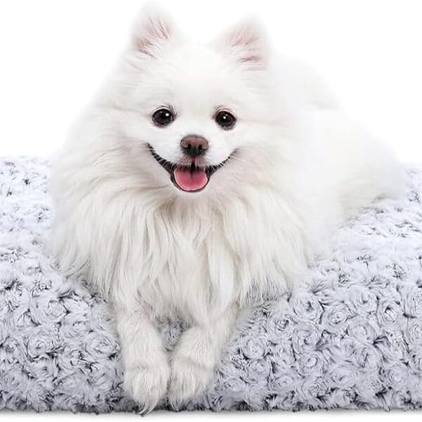 KSIIA Washable Dog Bed Deluxe Plush Dog Crate Beds Comfy Kennel Pad Anti-Slip Pet Sleeping Mat for Large, Jumbo, Medium, Small Dogs Breeds, 23" x 18", Gray