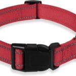 Reflective Dog Collar with Buckle Adjustable Safety Nylon Collars for Small Medium Large Dogs, Red S