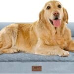 Extra Large Dog Bed Orthopedic Waterproof: Memory Foam Dog Bed for XL XLarge Extra Big Dogs - Couch Sofa - Washable with Removable Cover