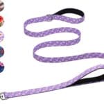 Hikiko Cute Girl Double Handle Dog Leash 6 Foot Padded Traffic Handles for Walking Training (Purple Floral, 6ft)