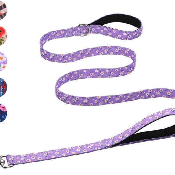 Hikiko Cute Girl Double Handle Dog Leash 6 Foot Padded Traffic Handles for Walking Training (Purple Floral, 6ft)