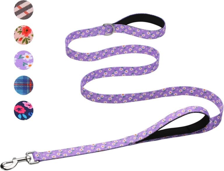 Hikiko Cute Girl Double Handle Dog Leash 6 Foot Padded Traffic Handles for Walking Training (Purple Floral, 6ft)