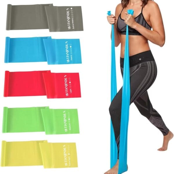 5 Pcs Professional Resistance Bands. Latex-Free, Elastic Band, Work Out Bands, Stretch Bands for Working Out Women or Men, Exercise Bands Set for Physical Therapy, Yoga, Pilates