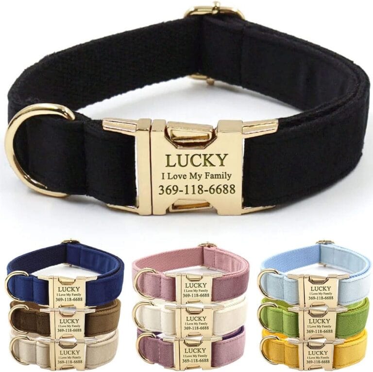 PETDURO Personalized Dog Collar Black Soft Velvet for Large Medium Small Boy Girl Dogs - Custom Collar with Name Phone Engraved on Gold Metal Buckle - Add Matching Leash Bow Set via Customize Now
