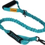 6FT Highly Reflective Heavy Duty Elastic Bungee Medium and Large Dog Leash Shock Absorbing with Comfortable Padded Handle and Traffic Handle Suitable for Training