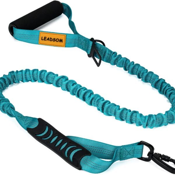 6FT Highly Reflective Heavy Duty Elastic Bungee Medium and Large Dog Leash Shock Absorbing with Comfortable Padded Handle and Traffic Handle Suitable for Training