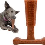 SPOT Bam-Bones Plus T Bone – Bamboo Fiber & Nylon Dog Chew Toy for Moderate to Aggressive Chewers, Durable Long Lasting & Non-Splintering, Beef Flavor Toy for Adult Dogs & Puppies Under 60 lbs, 6 in
