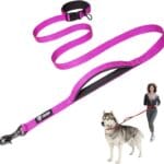 TSPRO Hands Free Dog Leash for Medium to Large Dogs, Adjustable Durable Leash with Comfortable Safety Padded Handle, Heavy Duty Metal Clasp for Walking, Running, Training (Purple)