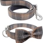 YOY Soft Comfortable Adjustable Pet Collar with Bowtie, Heavy Duty Dog Collar and Leash Set for Small Medium Large Dogs Cats, Puppy Grooming Doggy Accessories, Length 12" - 16"