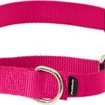 PetSafe Martingale Collar with Quick-Snap Buckle - Adjustable No-Slip Quick Release Dog Collar - Everyday Wear No-Pull Training Aid - 1" Wide - Medium - Raspberry