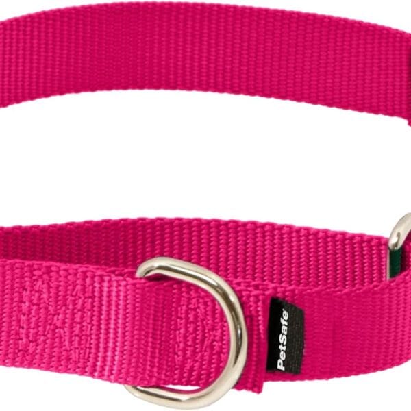 PetSafe Martingale Collar with Quick-Snap Buckle - Adjustable No-Slip Quick Release Dog Collar - Everyday Wear No-Pull Training Aid - 1" Wide - Medium - Raspberry