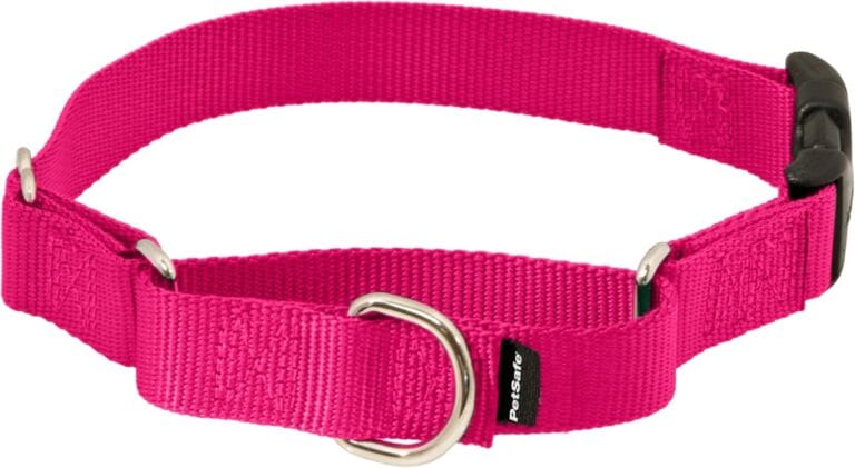 PetSafe Martingale Collar with Quick-Snap Buckle - Adjustable No-Slip Quick Release Dog Collar - Everyday Wear No-Pull Training Aid - 1" Wide - Medium - Raspberry