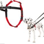 HALTI Front Control Harness - To Stop Your Dog Pulling on the Leash. Adjustable, Lightweight and Easy to Use. Anti-Pull Dog Training Harness for Medium Dogs (Size M)
