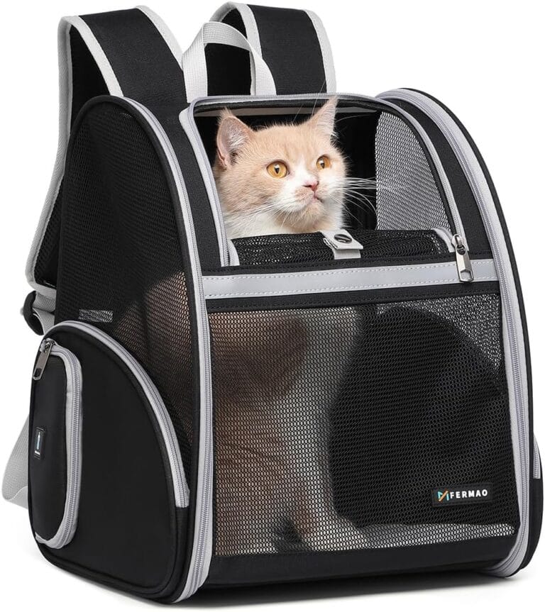 Cat Backpack Carrier Pet Backpack Carrier for Small Dogs and Medium cat Puppy Kitten Bunny up to 15lbs, Cat Carrying Backpack Collapsible with Fully Ventilated Mesh with Safety Leash (Black)