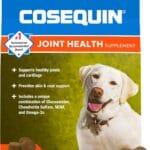 COSEQUIN Maximum Strength Joint Supplement Plus MSM & Omega-3's - With Glucosamine and Chondroitin - For Dogs of All Sizes (Soft Chews)