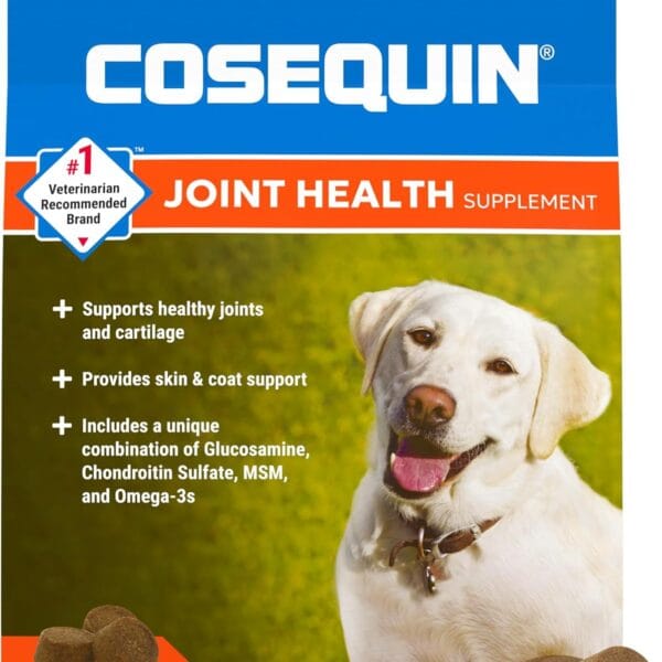 COSEQUIN Maximum Strength Joint Supplement Plus MSM & Omega-3's - With Glucosamine and Chondroitin - For Dogs of All Sizes (Soft Chews)