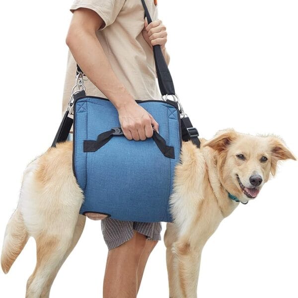 COODEO Dog Carry Sling, Emergency Backpack Pet Legs Support & Rehabilitation Dog Lift Harness for Nail Trimming, Dog Carrier for Senior Dogs Joint Injuries, Arthritis, Up and Down Stairs(2XL, Blue)