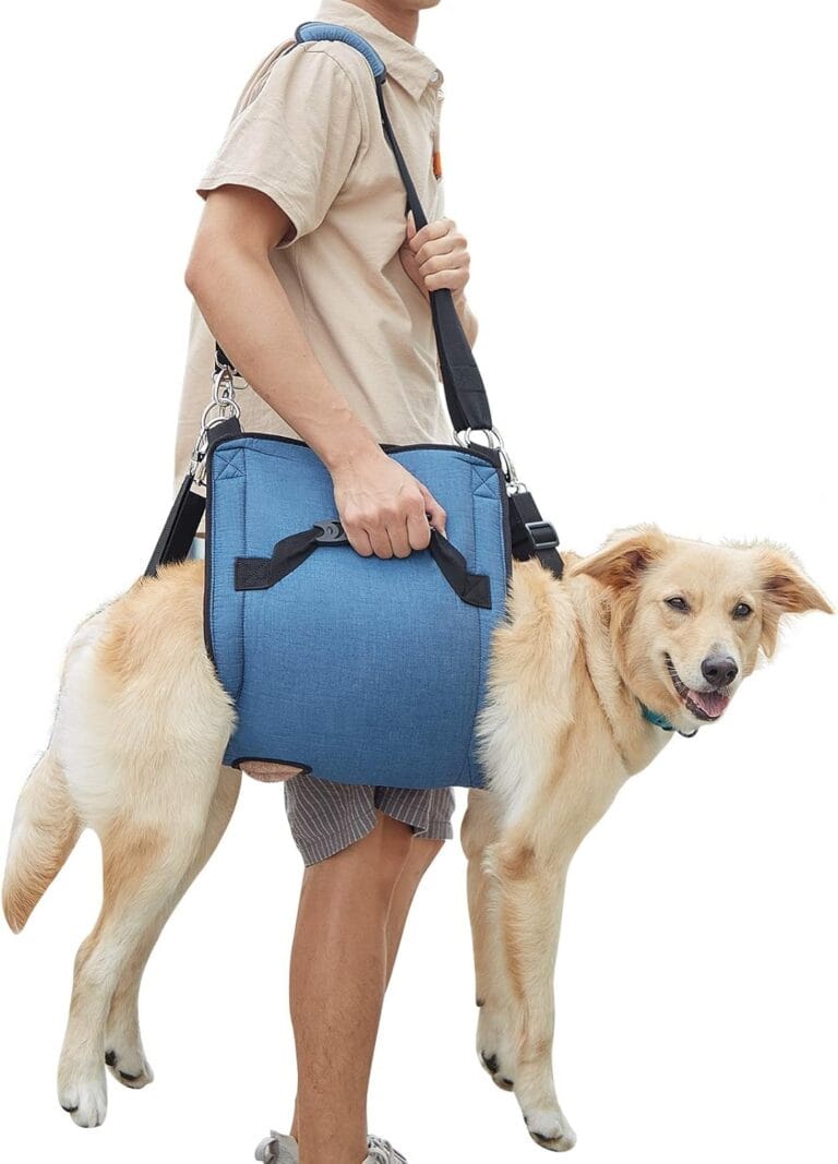 COODEO Dog Carry Sling, Emergency Backpack Pet Legs Support & Rehabilitation Dog Lift Harness for Nail Trimming, Dog Carrier for Senior Dogs Joint Injuries, Arthritis, Up and Down Stairs(2XL, Blue)