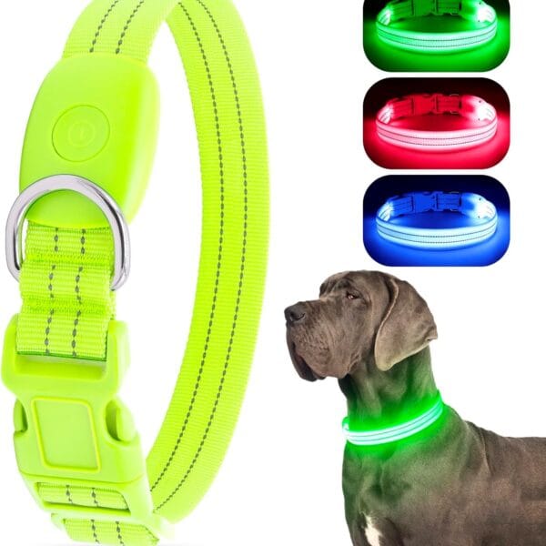LED Lighted Reflective Dog Collar for Night Safety, USB Rechargeable, Glow Collar for Dogs, Waterproof Adjustable Flashing (Green, Large)