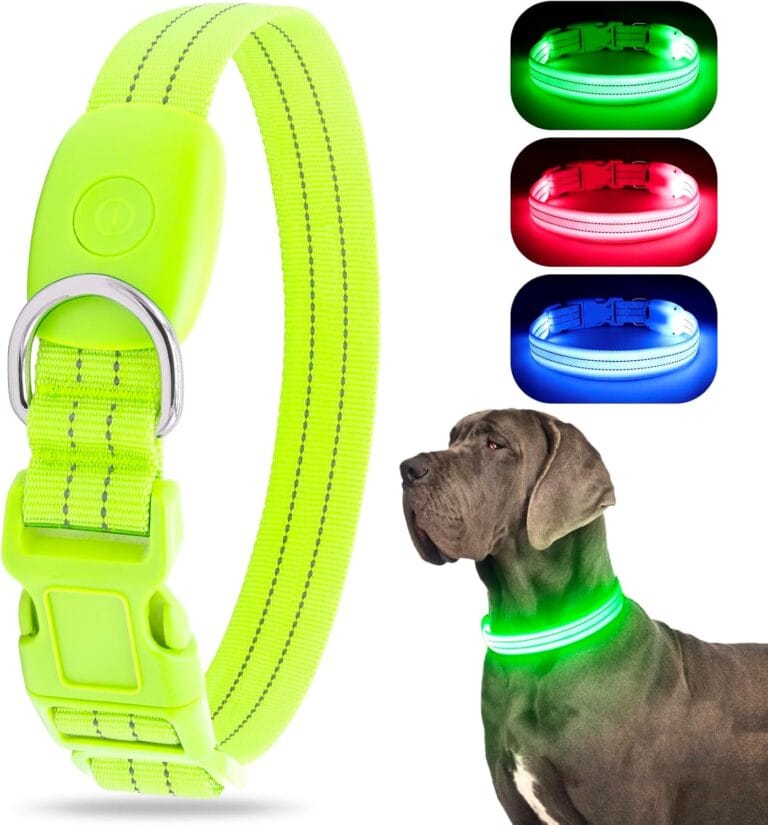 LED Lighted Reflective Dog Collar for Night Safety, USB Rechargeable, Glow Collar for Dogs, Waterproof Adjustable Flashing (Green, Large)