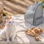 Dog Backpack Carrier,Pet Carrier for Cat/Small Bunny,Ventilated Mesh Dog Backpack,Dog Travel Bag,Small/Medium Cats Fit Up to 11lbs,Foldable Carrying Backpack