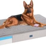 Veehoo Orthopedic Memory Foam Dog Bed, 7 Inch Thick Extra Large XXL Dog Bed for Senior Dogs with Ultra-Soft Fluffy Surface, Waterproof Liner, Removable Washable Cover and Non-Slip Bottom, 52"x36"x7"