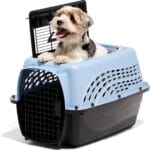 Petmate Dog Crates for Small Dogs & Cat Carriers, Two-Door Plastic Pet Kennel, Top & Front Loading, Made in USA, 24", Blue