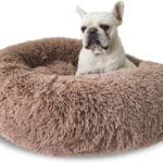 Donut Bed + Free Removable Cooling mat, Calming Dog Bed Washable Ideal for Small to Large Dogs and Cats & Round Dog Bed, Multiple Sizes,Brown, Combo Small (23" L x 23" W x 7" Th)