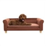 CRITTER SITTERS 42-in. Elegant Brown Faux-Velvet Rectangular Dog Sofa for Medium and Large Dogs, Elevated Plush Dog Couch