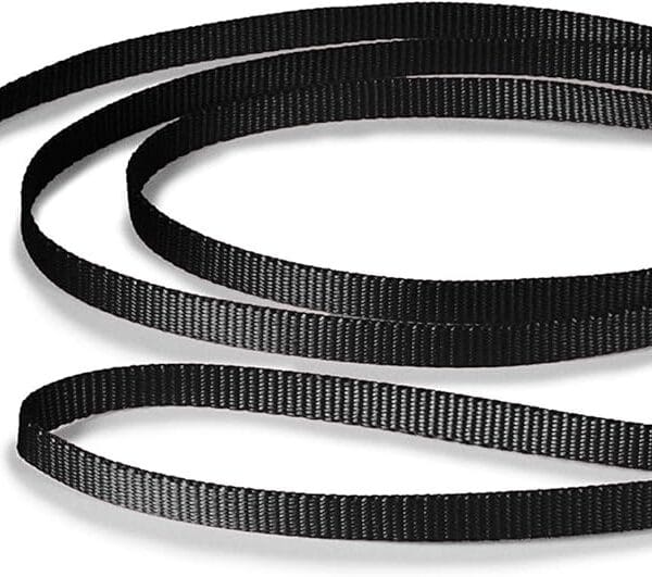 PetSafe Nylon Leash - Chew-Resistant Cat & Dog Behavioral Training Leash - Compatible with Easy-Walk Harness - Traditional-Style Reliable Pet Lead with a Padded Hand Wrap - 3/8" x 6' - Black