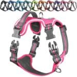 VIVAGLORY Dog Harness Easewalk No Pull Dog Harness with Handle & Front Back Clip for Training Lifting, Easy On Adjustable Padded No Pull for Pet & Puppy, S, Pink