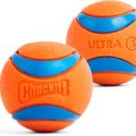 Chuckit! Ultra Ball Dog Toy, Balls for Dogs to Fetch, Durable Rubber, Small 2-inch, Pack of 2