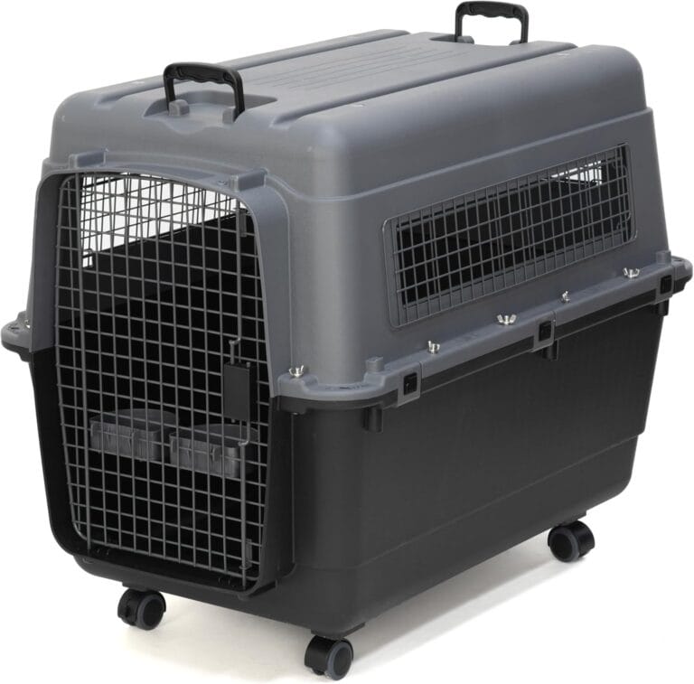 SportPet Designs Plastic Airline Approved Kennels Wire Door Travel Dog Crate, X-Large