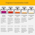 Yves Saint Laurent Eau De Parfum Spray for Men 60Ml/2Oz