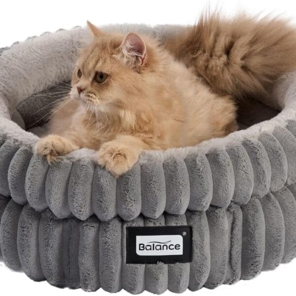 BALANCE Cat Bed Kitten Bed, Washable Round Cat Beds for Indoor Cats, Super Soft Plush Faux Fur Pet Bed for Puppy and Kitten with Anti-Slip Bottom