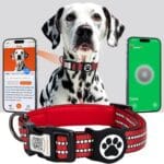 AirTag Dog Collar for Large Dogs, IP68 Waterproof Air Tag Dog Collar with Apple AirTag Holder, Reflective, Padded Lining, QR Code Personalized Dog Tags(Red, Large)