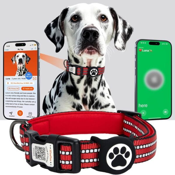 AirTag Dog Collar for Large Dogs, IP68 Waterproof Air Tag Dog Collar with Apple AirTag Holder, Reflective, Padded Lining, QR Code Personalized Dog Tags(Red, Large)